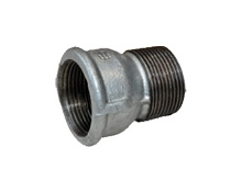 Pezedłużka żeliwna